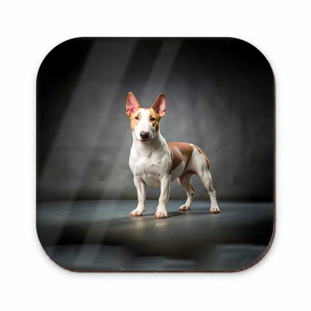 Miniature Bull Terrier Dog Photo Fridge Magnet