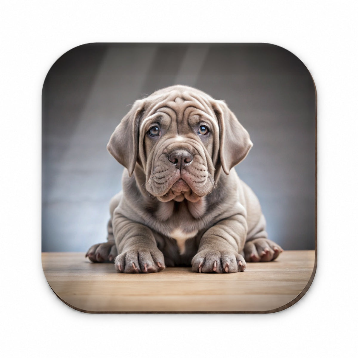 Neapolitan Mastiff Dog Puppy Photo Fridge Magnet