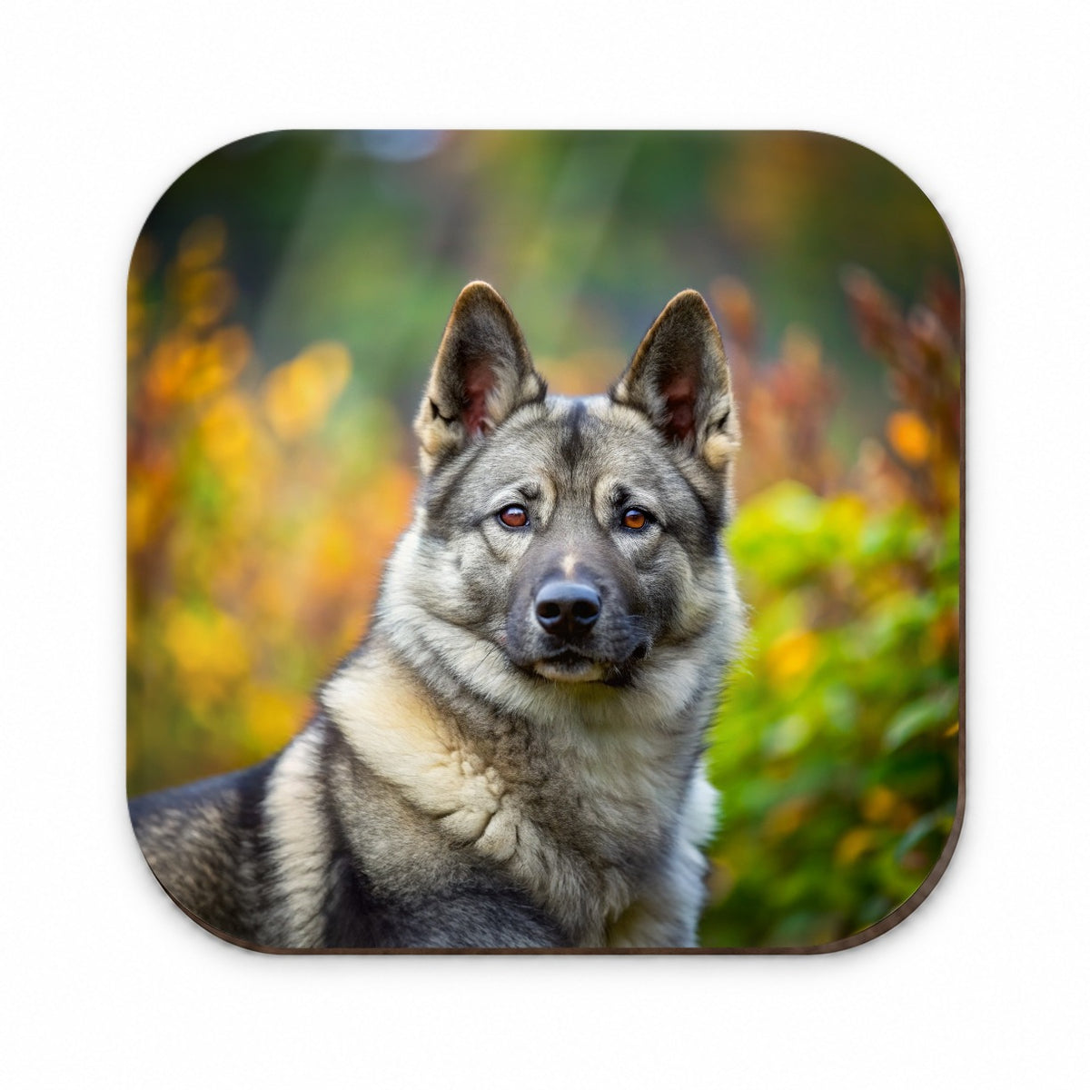 Norwegian Elkhound Dog Photo Fridge Magnet