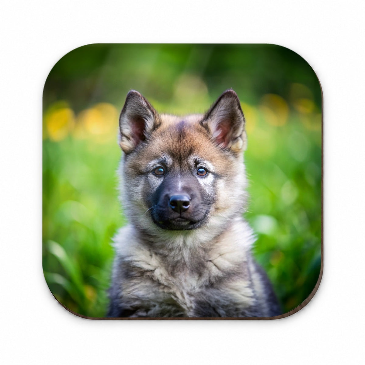 Norwegian Elkhound Dog Puppy Photo Fridge Magnet