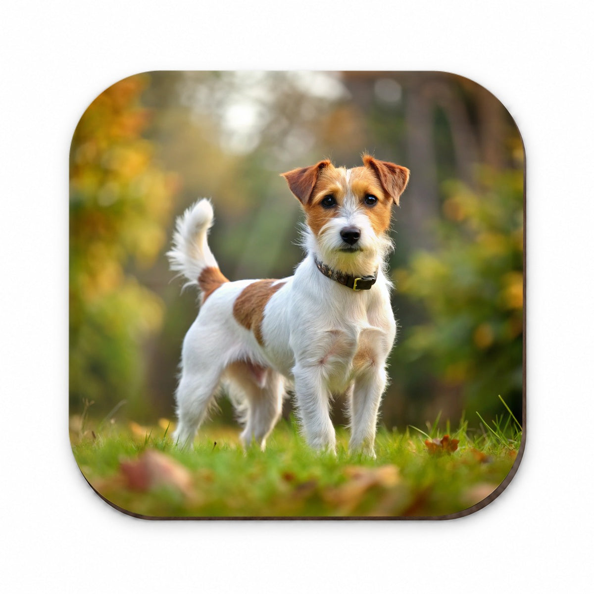 Parson Russell Terrier Dog Photo Fridge Magnet