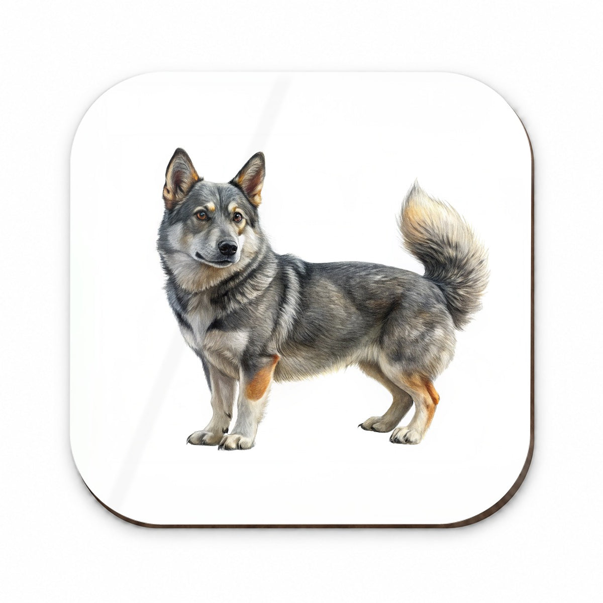 Swedish Vallhund Dog Illustration Fridge Magnet