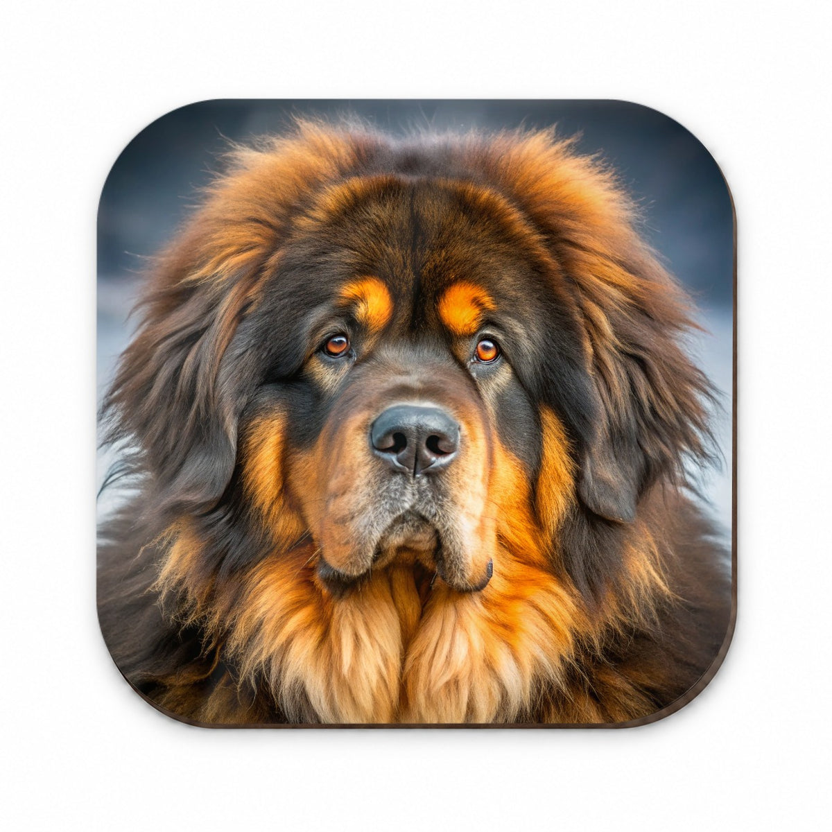Tibetan Mastiff Dog Photo Fridge Magnet