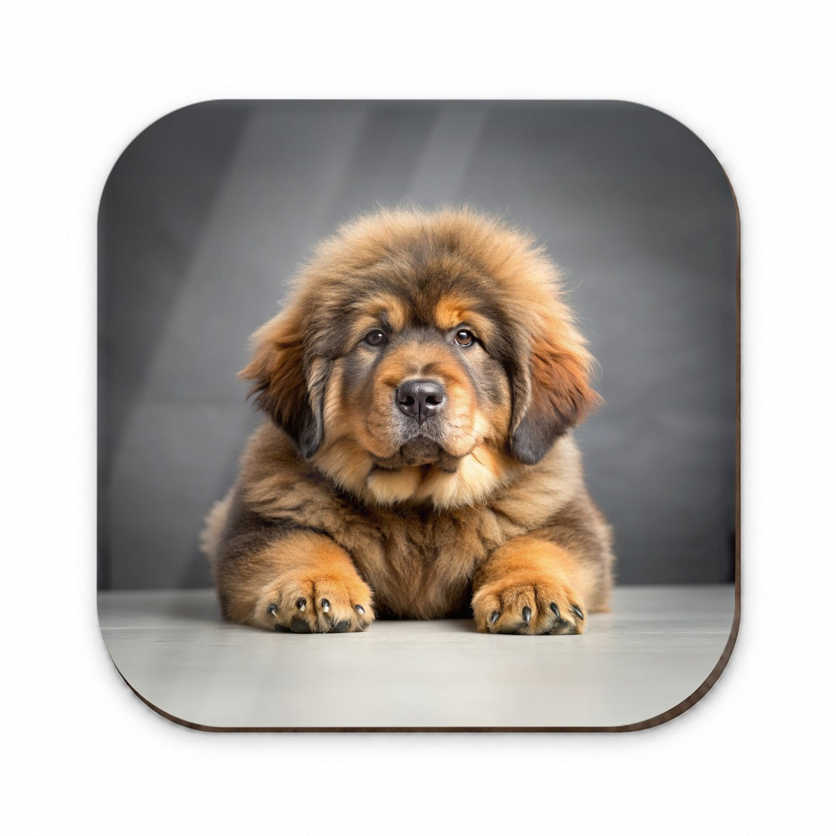Tibetan Mastiff Dog Puppy Photo Fridge Magnet