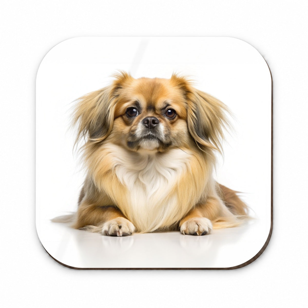 Tibetan Spaniel Dog Photo Fridge Magnet
