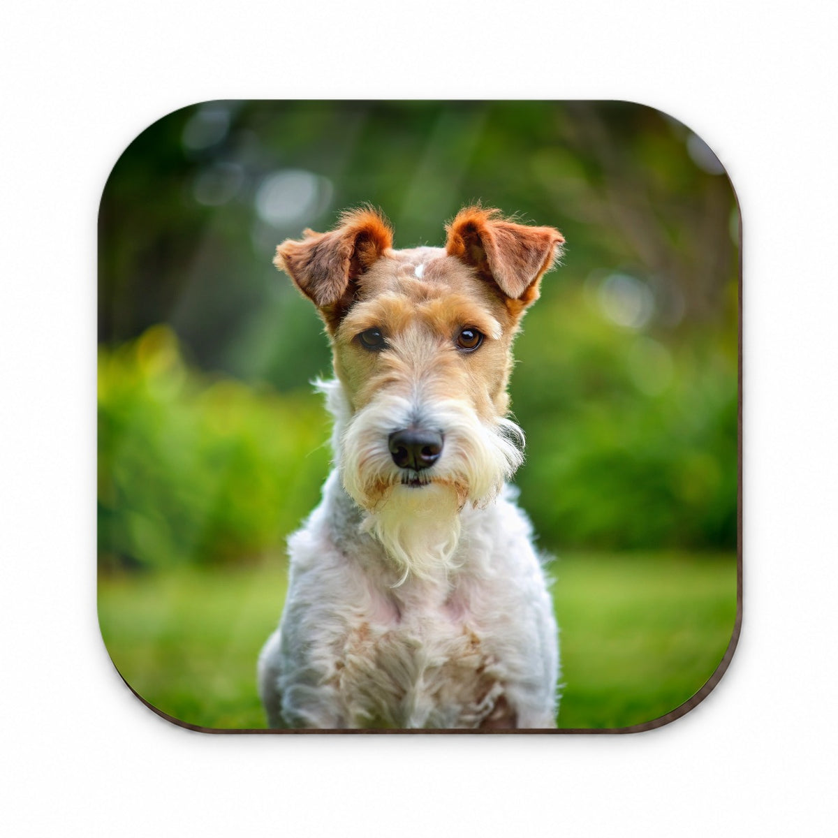 Wire Fox Terrier Dog Photo Fridge Magnet