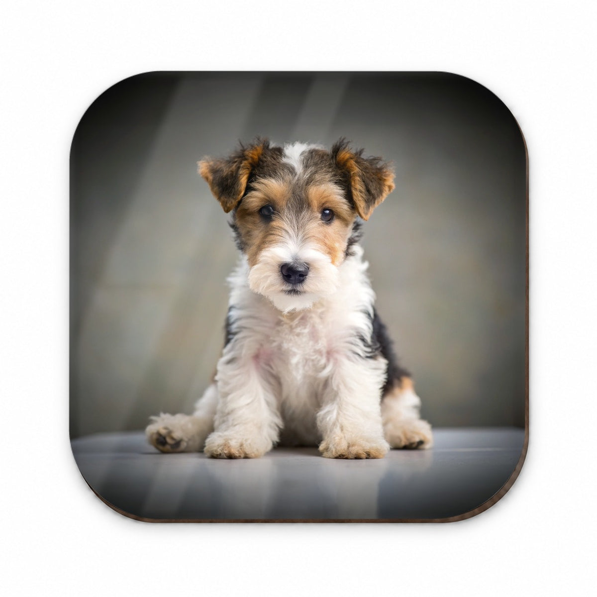Wire Fox Terrier Dog Puppy Photo Fridge Magnet