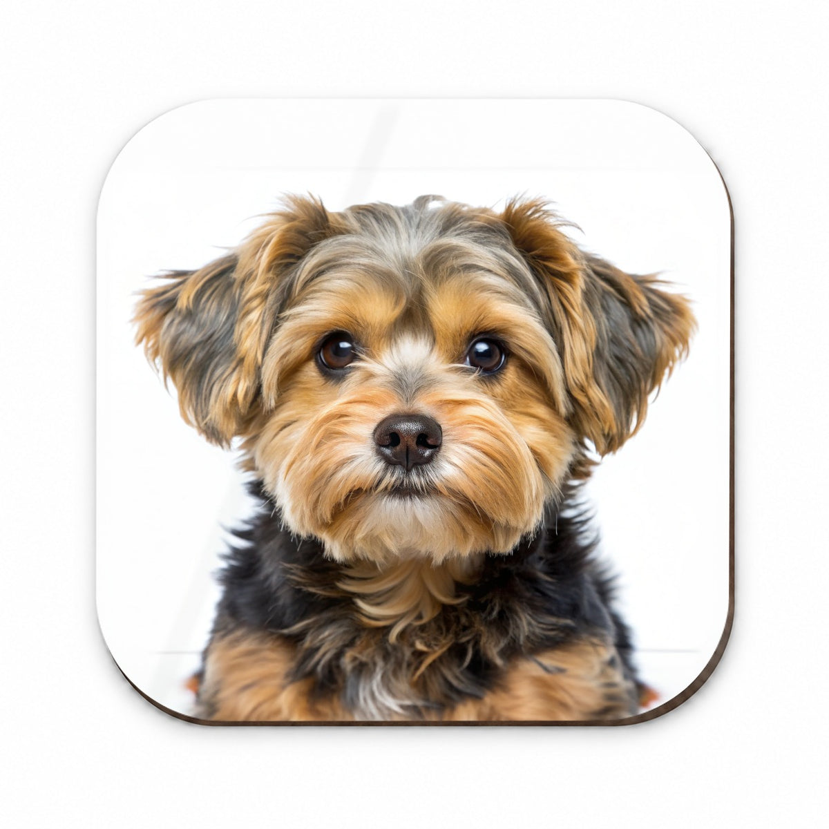 Yorkipoo Dog Photo Fridge Magnet