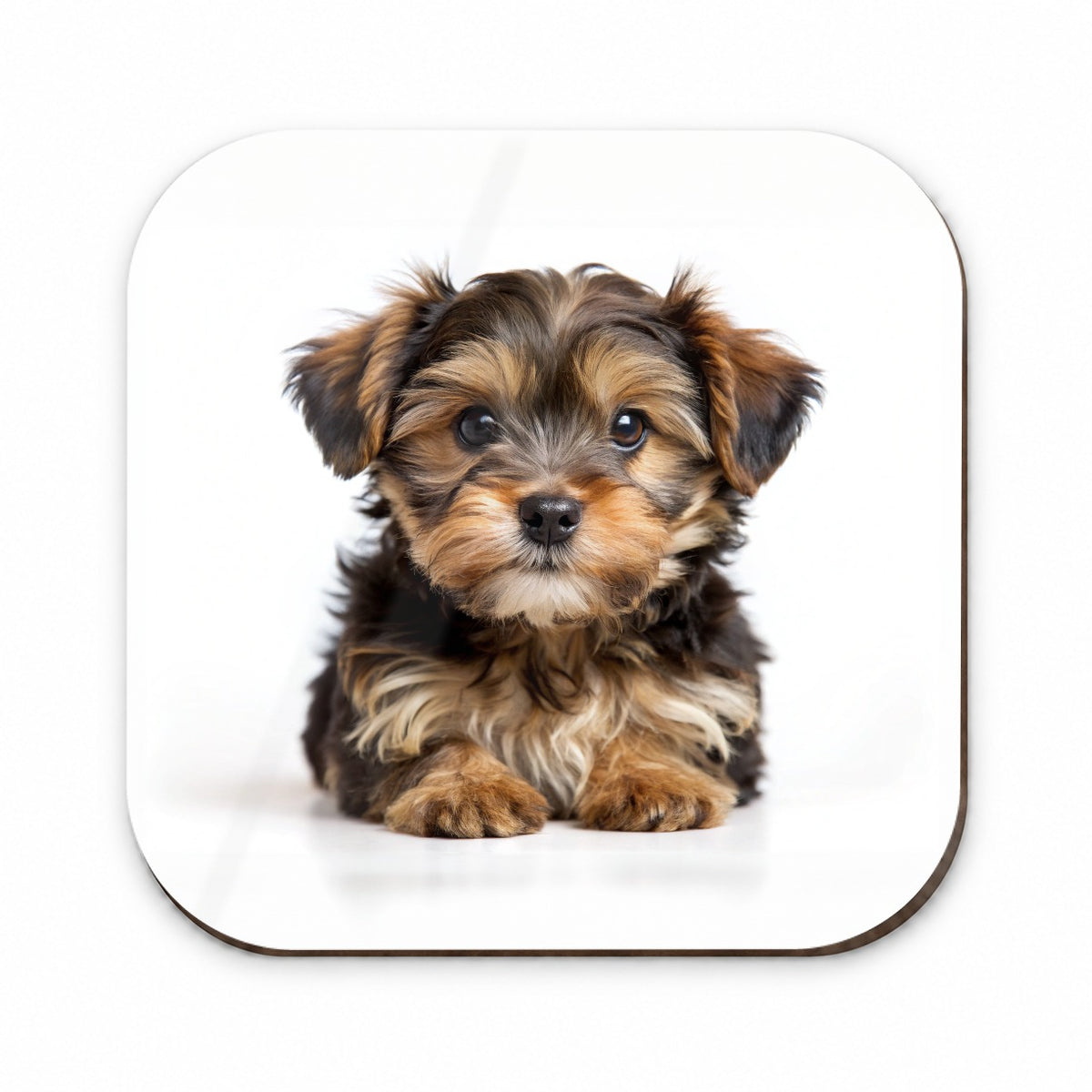 Yorkipoo Dog Puppy Photo Fridge Magnet