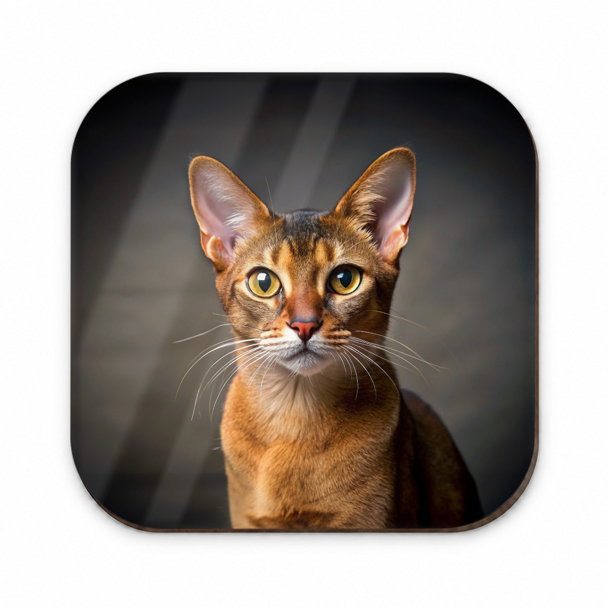Abyssinian Cat Photo Fridge Magnet