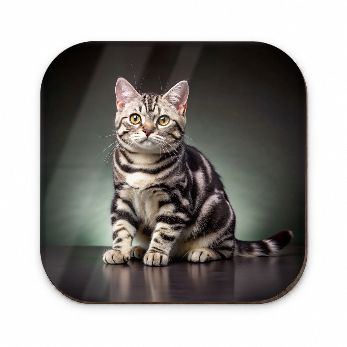 American Shorthair Cat Photo Fridge Magnet