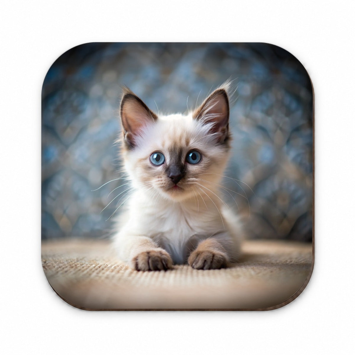 Balinese Cat Kitten Photo Fridge Magnet