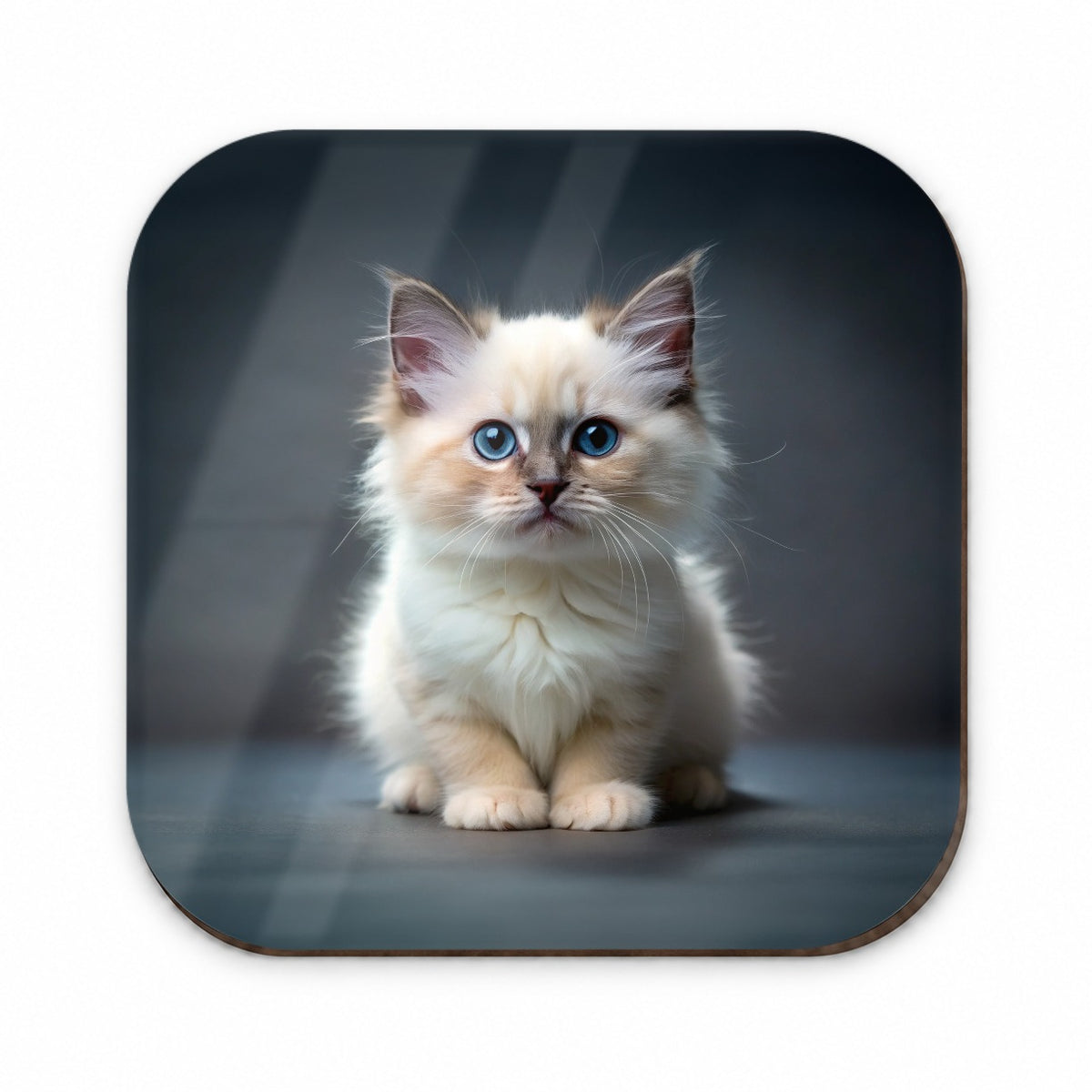 Birman Cat Kitten Photo Fridge Magnet