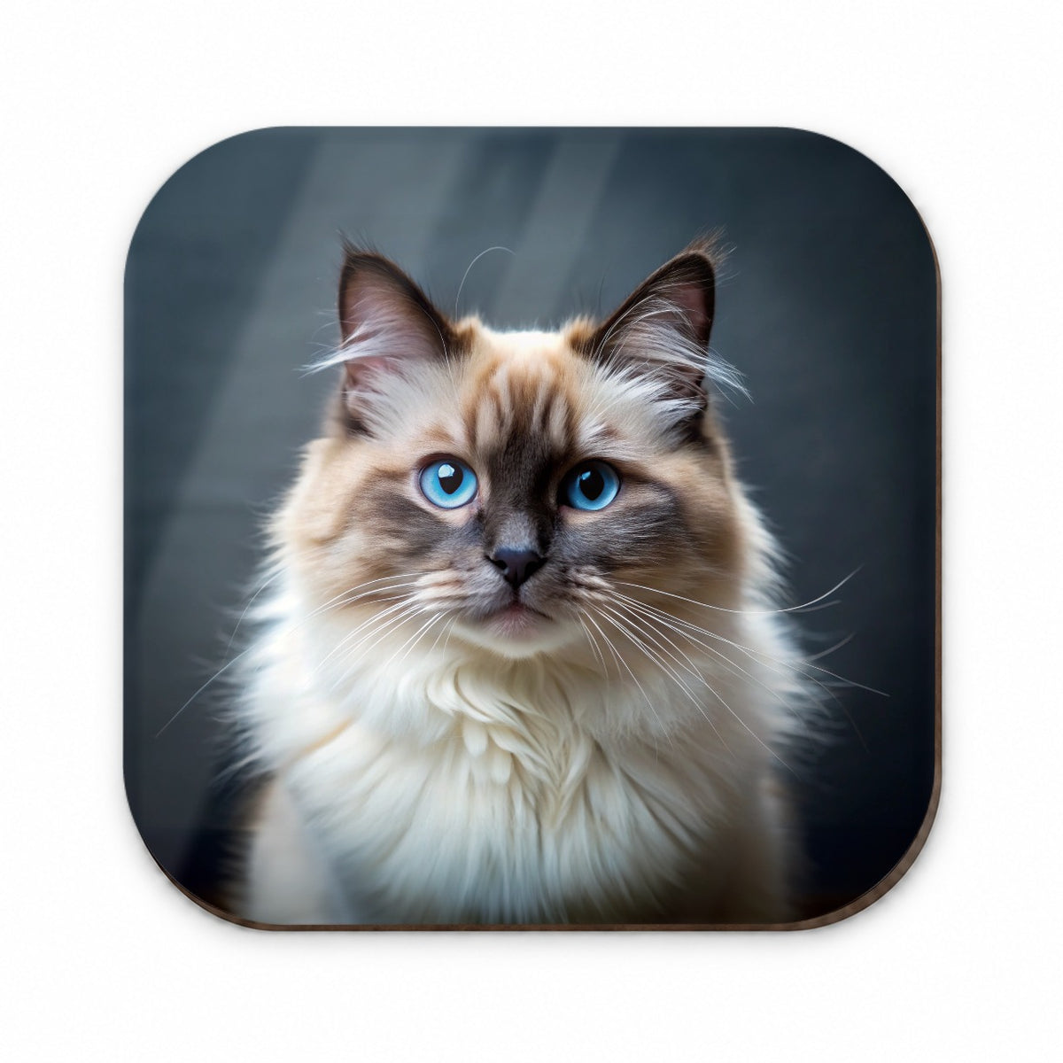 Birman Cat Photo Fridge Magnet