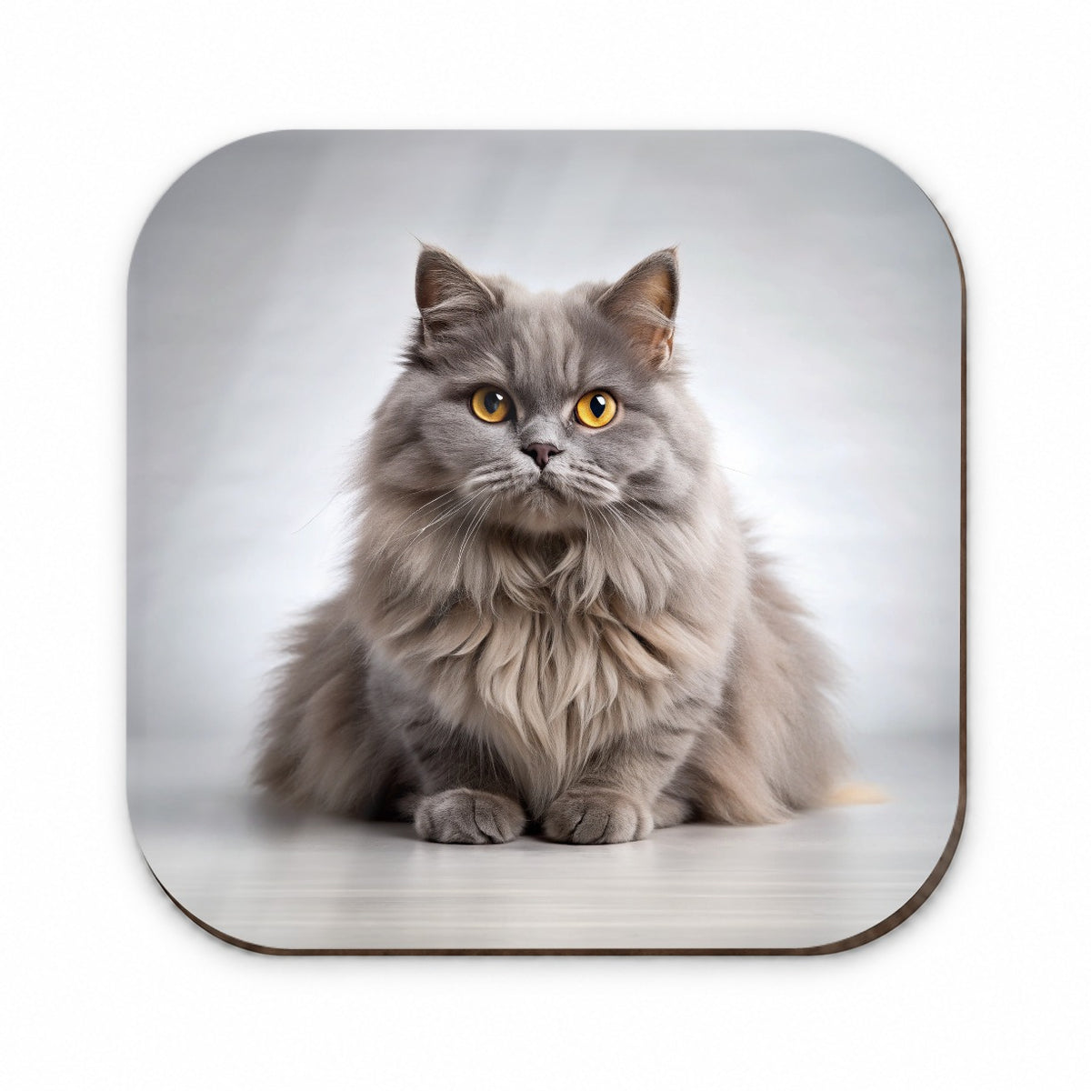 British Longhair Gray Cat Photo Fridge Magnet