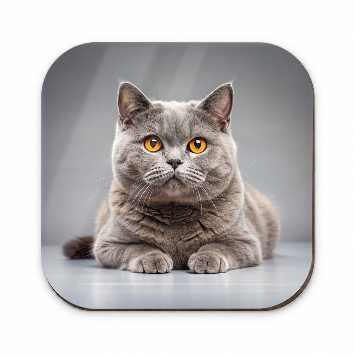 British Shorthair Gray Cat Photo Fridge Magnet