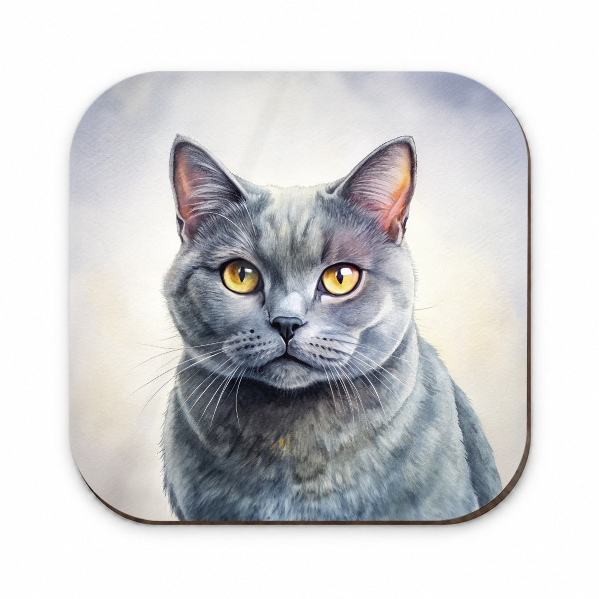 Chartreux Cat Illustration Fridge Magnet