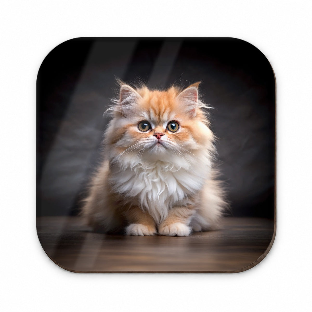Classic Persian Cat Kitten Photo Fridge Magnet
