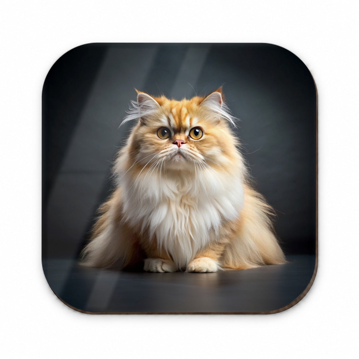 Classic Persian Cat Photo Fridge Magnet