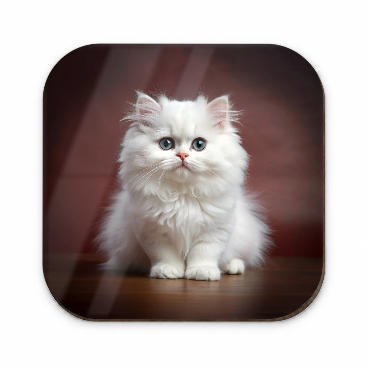 Classic Persian White Cat Kitten Photo Fridge Magnet