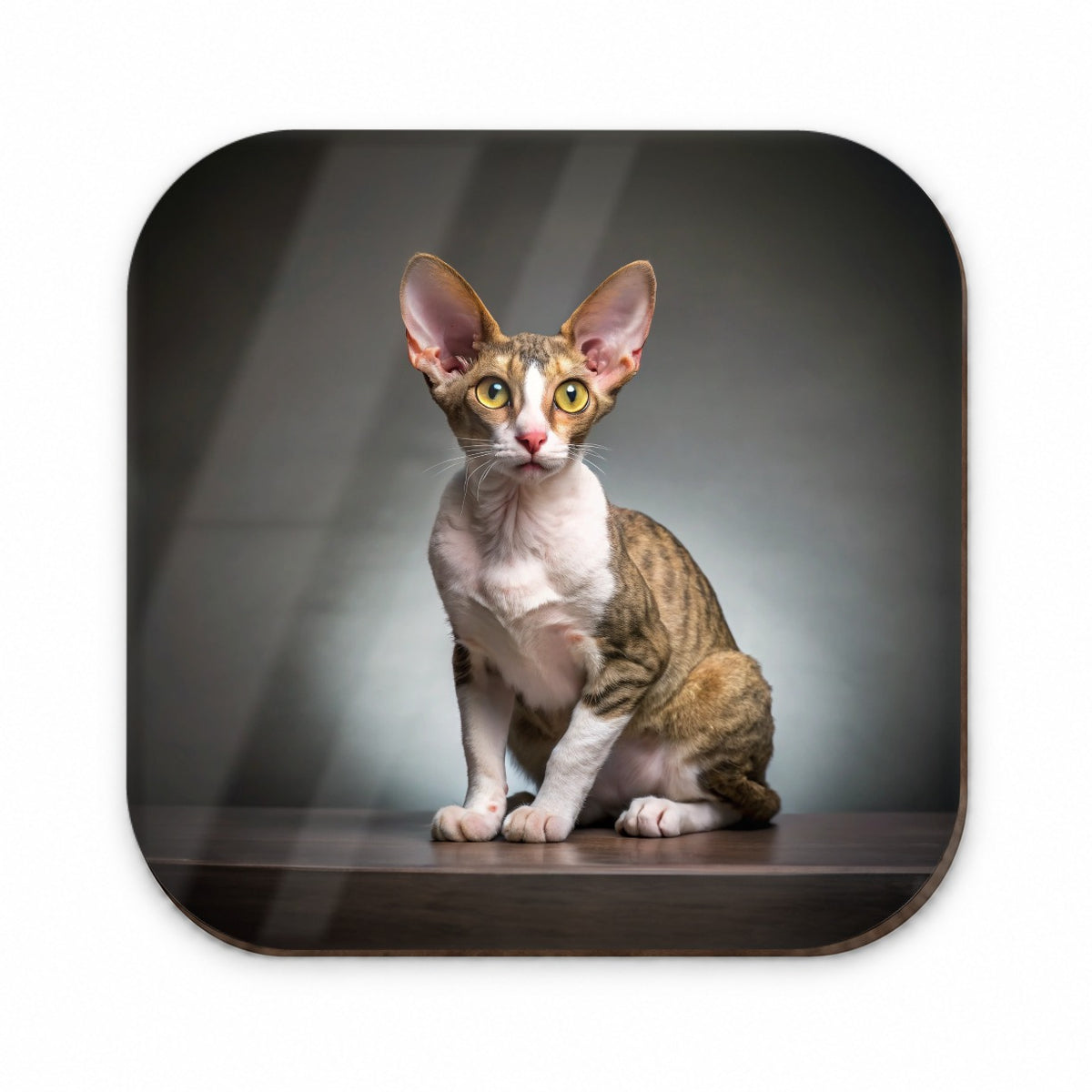 Cornish Rex Cat Photo Fridge Magnet