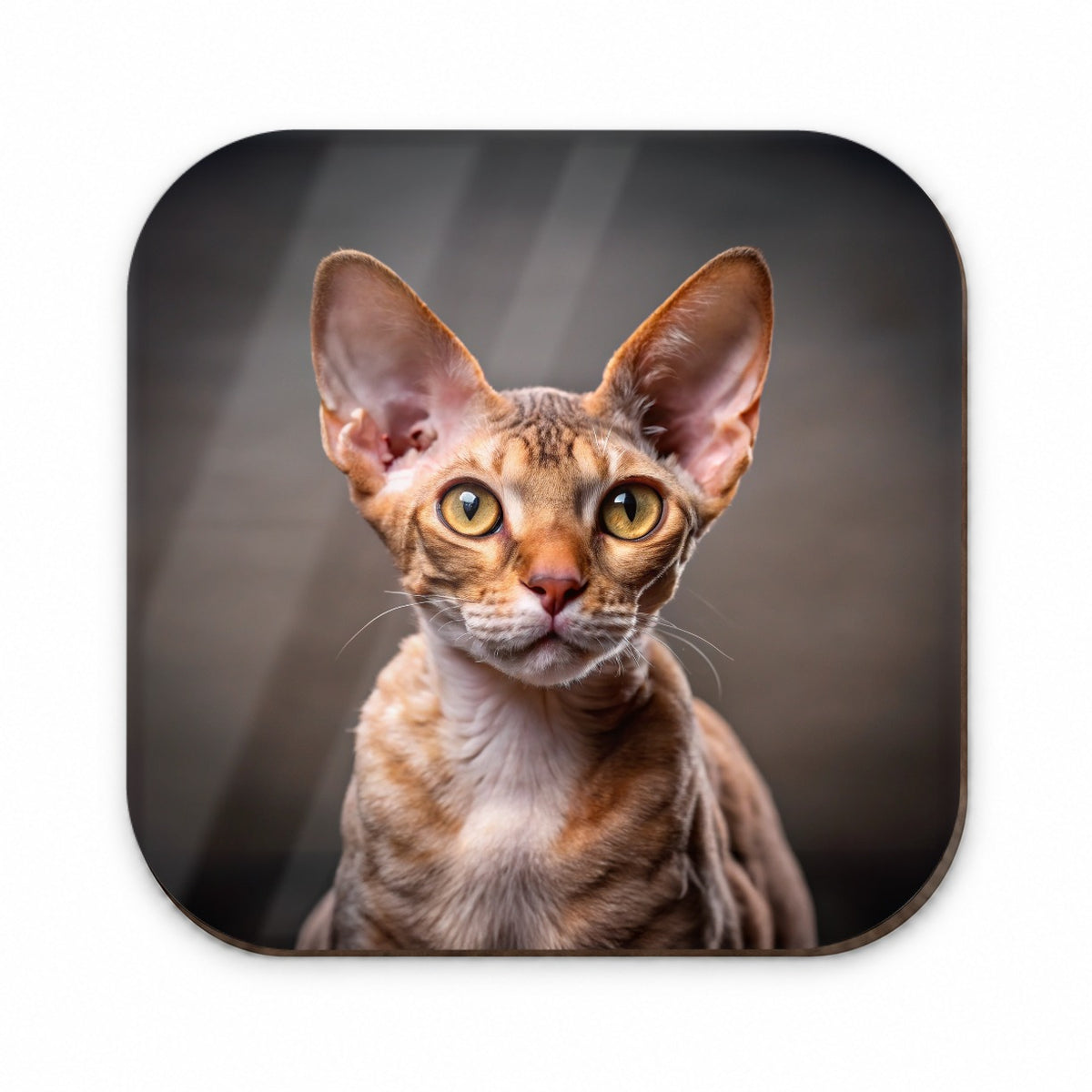 Devon Rex Cat Photo Fridge Magnet
