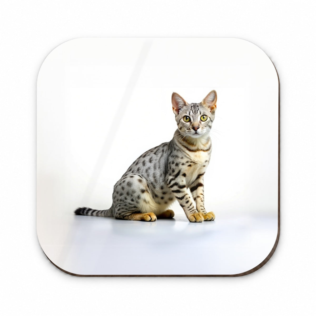 Egyptian Mau Cat Photo Fridge Magnet