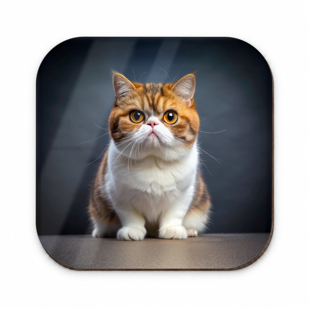 Exotic Shorthair Cat Photo Fridge Magnet