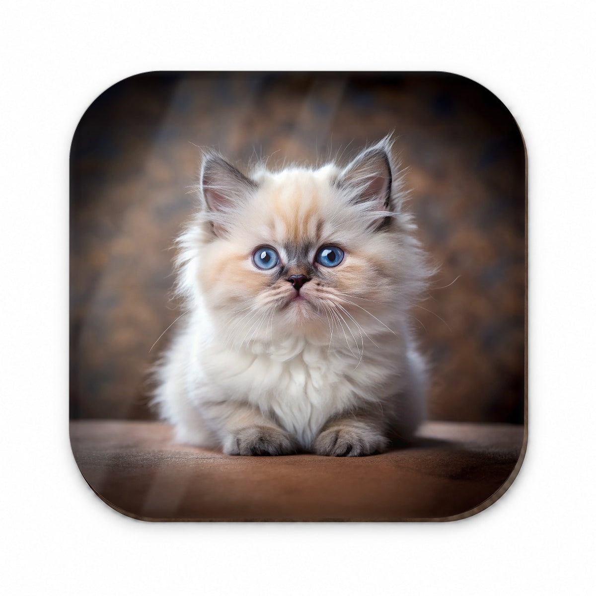 Himalayan Cat Kitten Photo Fridge Magnet