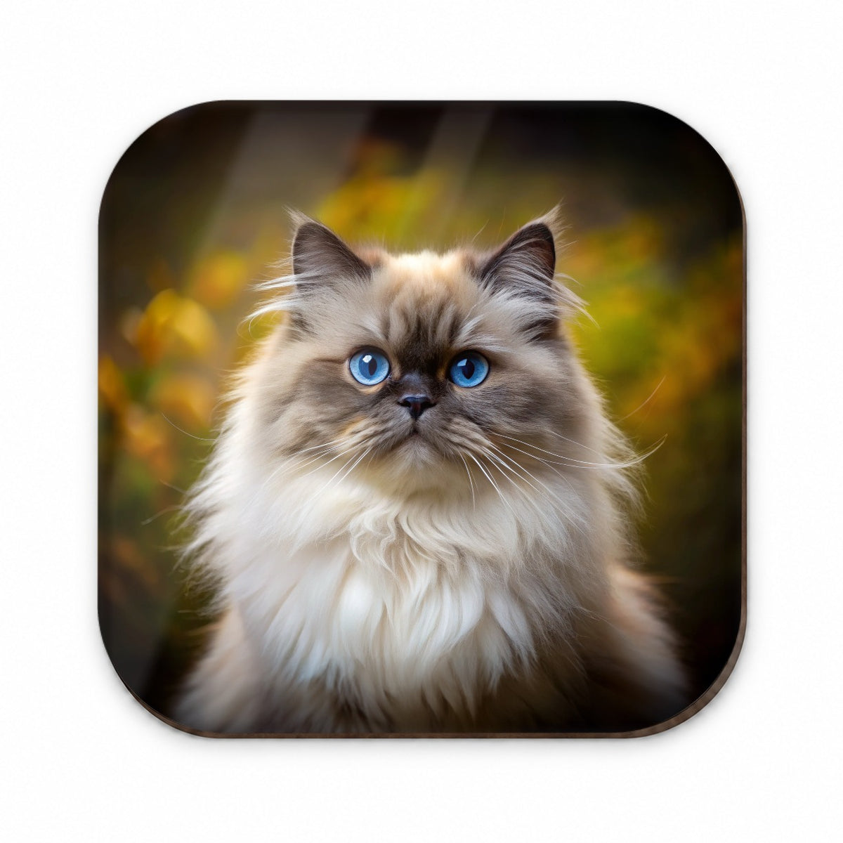 Himalayan Cat Photo Fridge Magnet