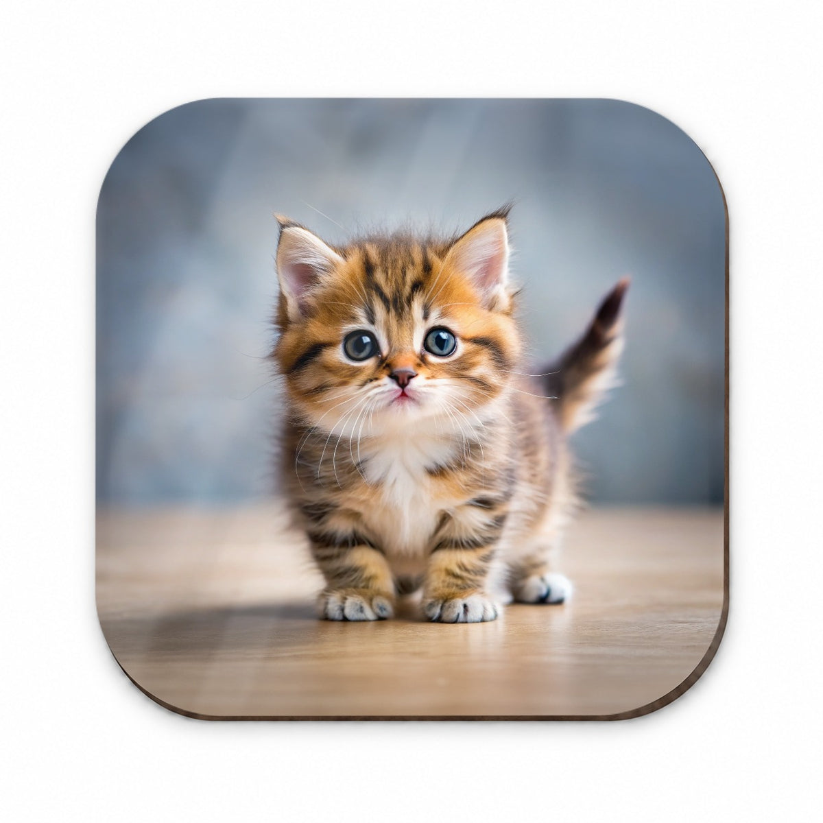 Munchkin Cat Kitten Photo Fridge Magnet