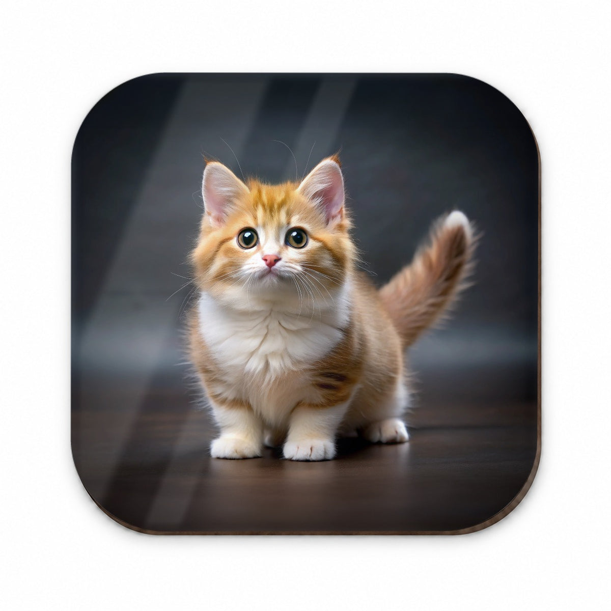 Munchkin Cat Photo Fridge Magnet