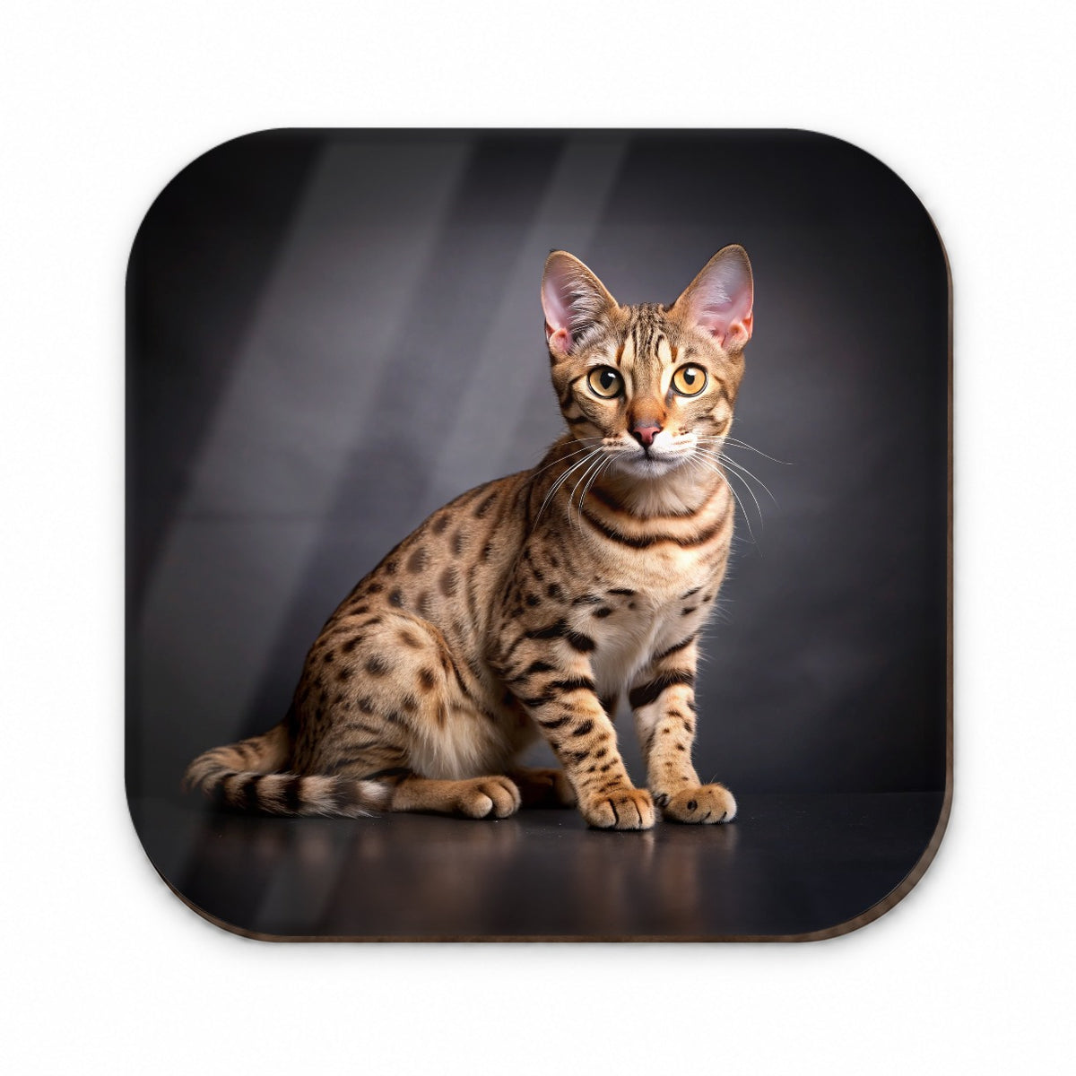 Ocicat Cat Photo Fridge Magnet