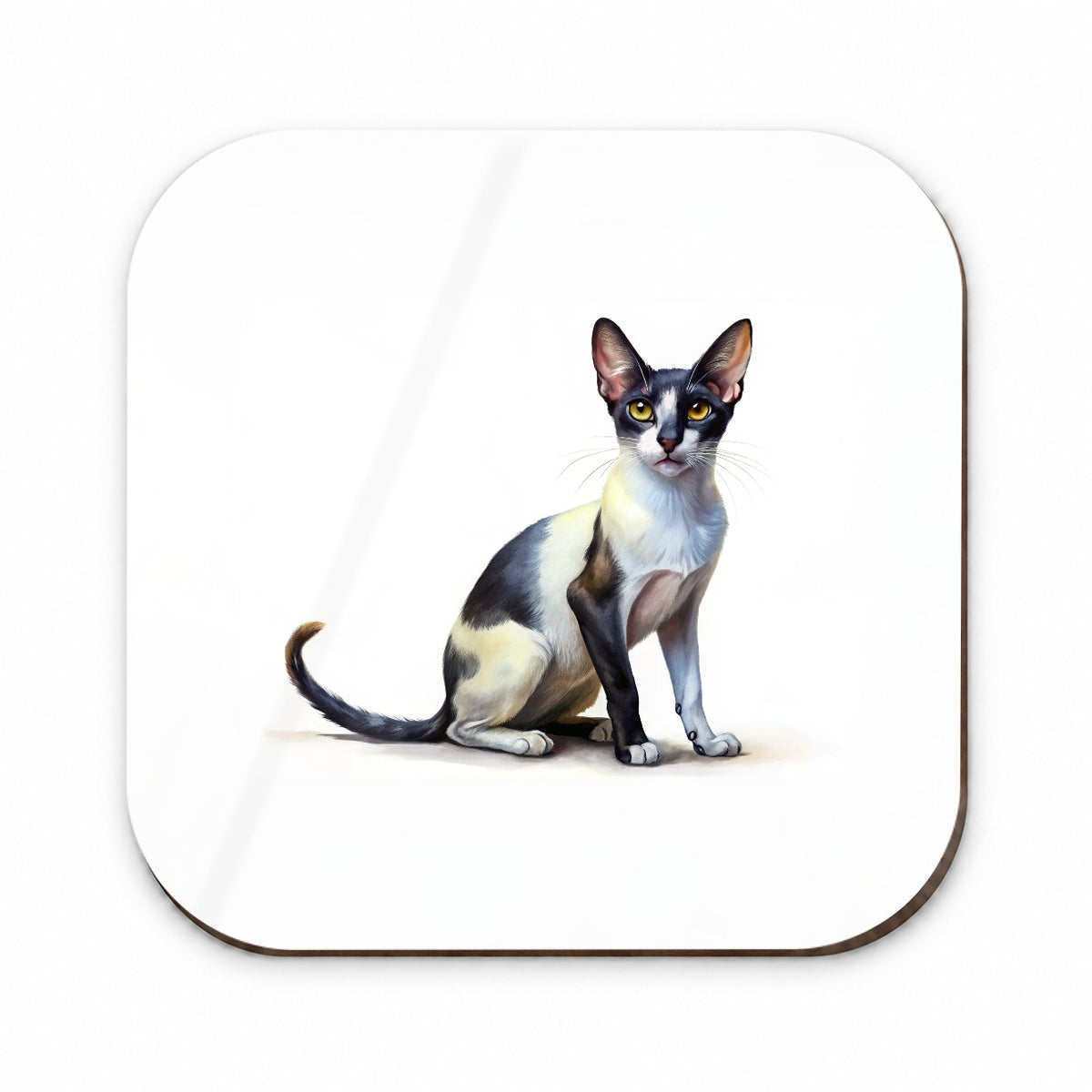 Oriental Shorthair Black White Cat Illustration Fridge Magnet
