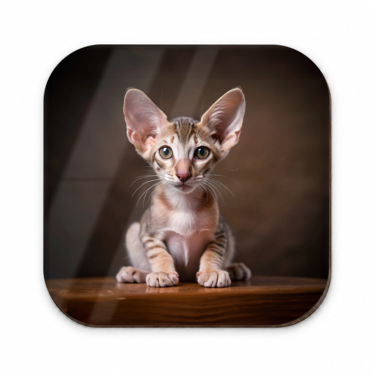 Oriental Shorthair Cat Kitten Photo Fridge Magnet