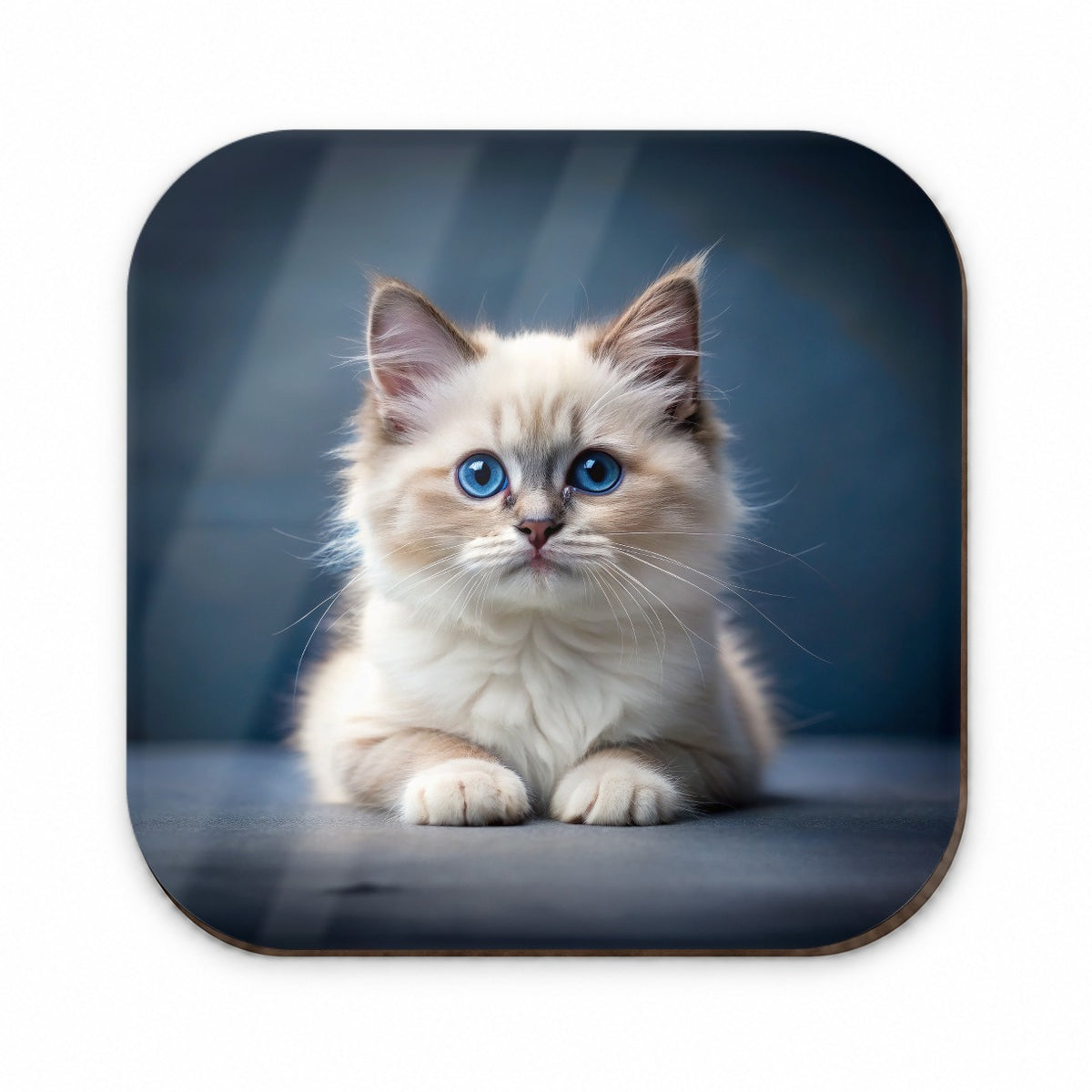 Ragdoll Cat Kitten Photo Fridge Magnet