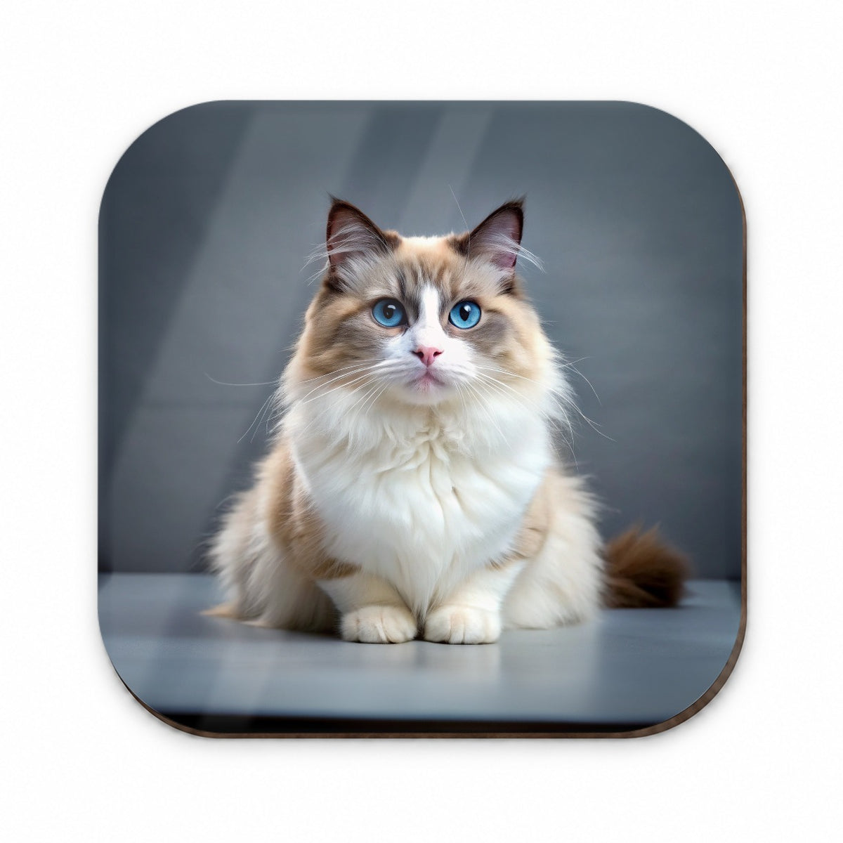 Ragdoll Cat Photo Fridge Magnet