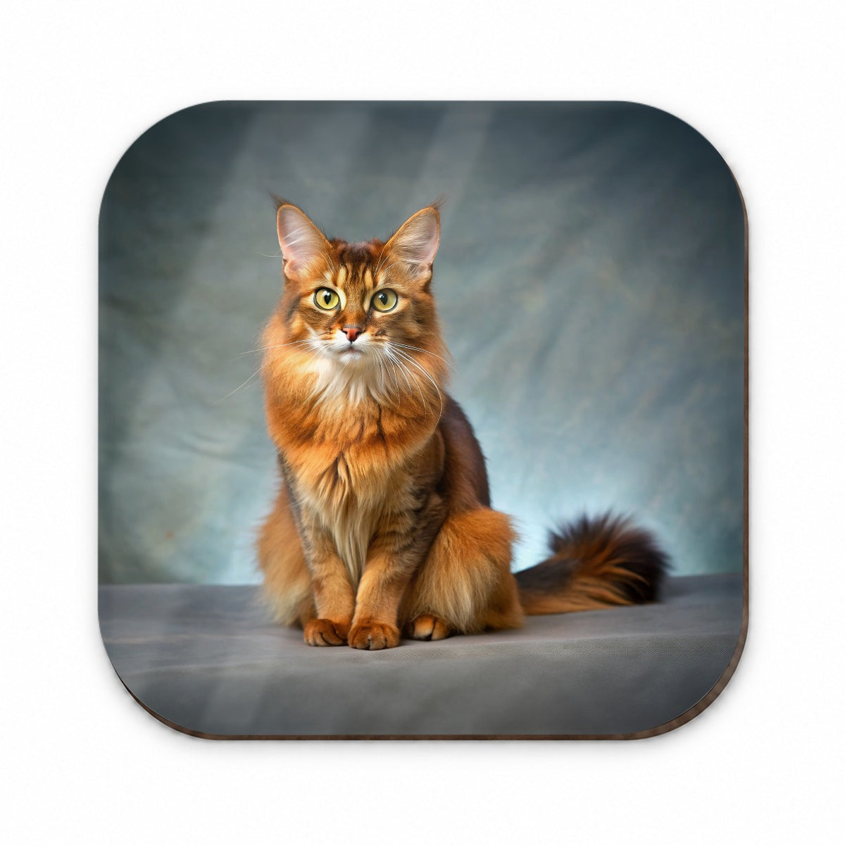 Somali Cat Kitten Photo Fridge Magnet