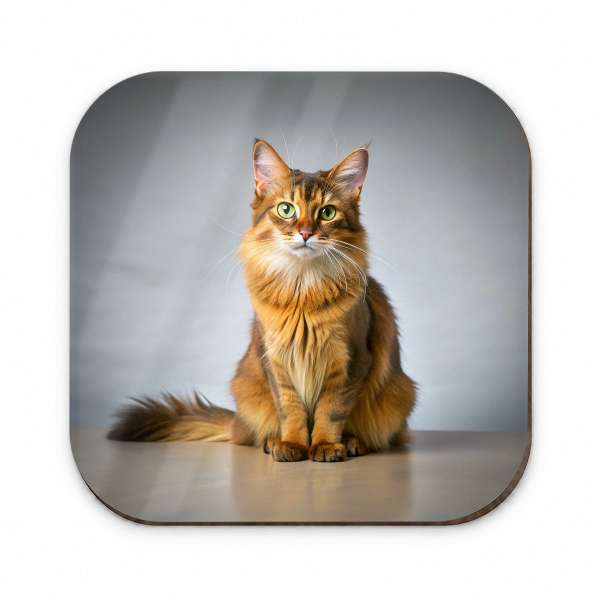 Somali Cat Photo Fridge Magnet