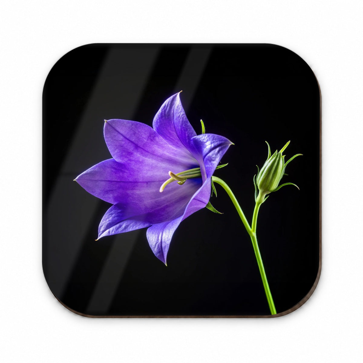 Bellflower Purple Flower Photo Fridge Magnet