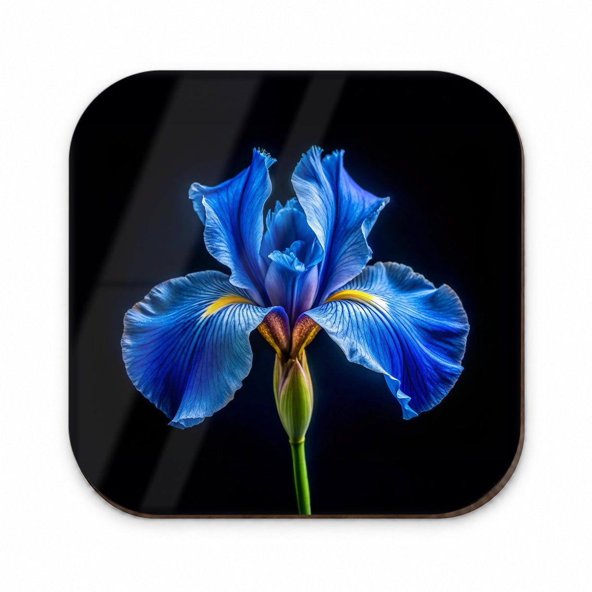 Blue Iris Flower Photo Fridge Magnet