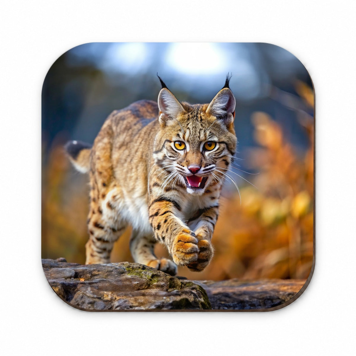 Bobcat Leaping To Catch Prey Fridge Magnet