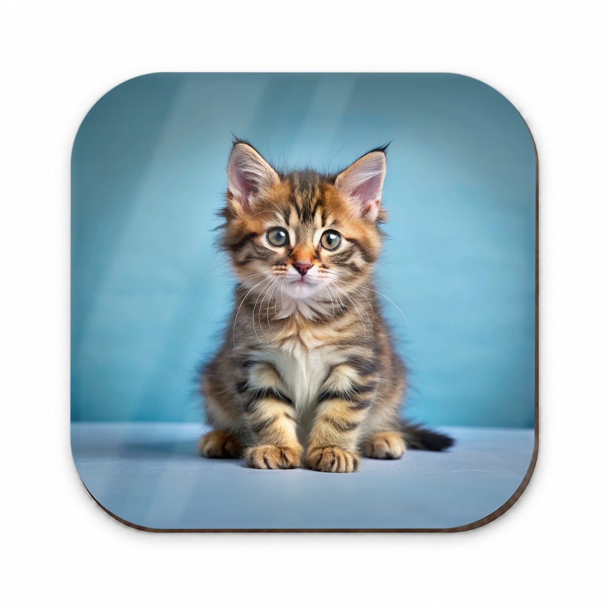 Cute Tabby Kitten Cat Photo Fridge Magnet