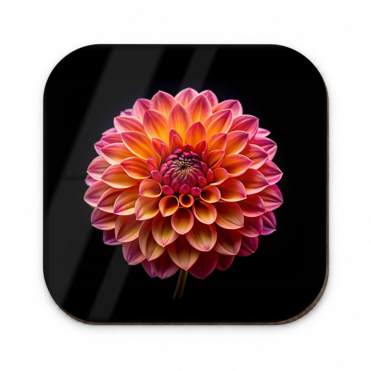Dahlia Flower Photo Fridge Magnet