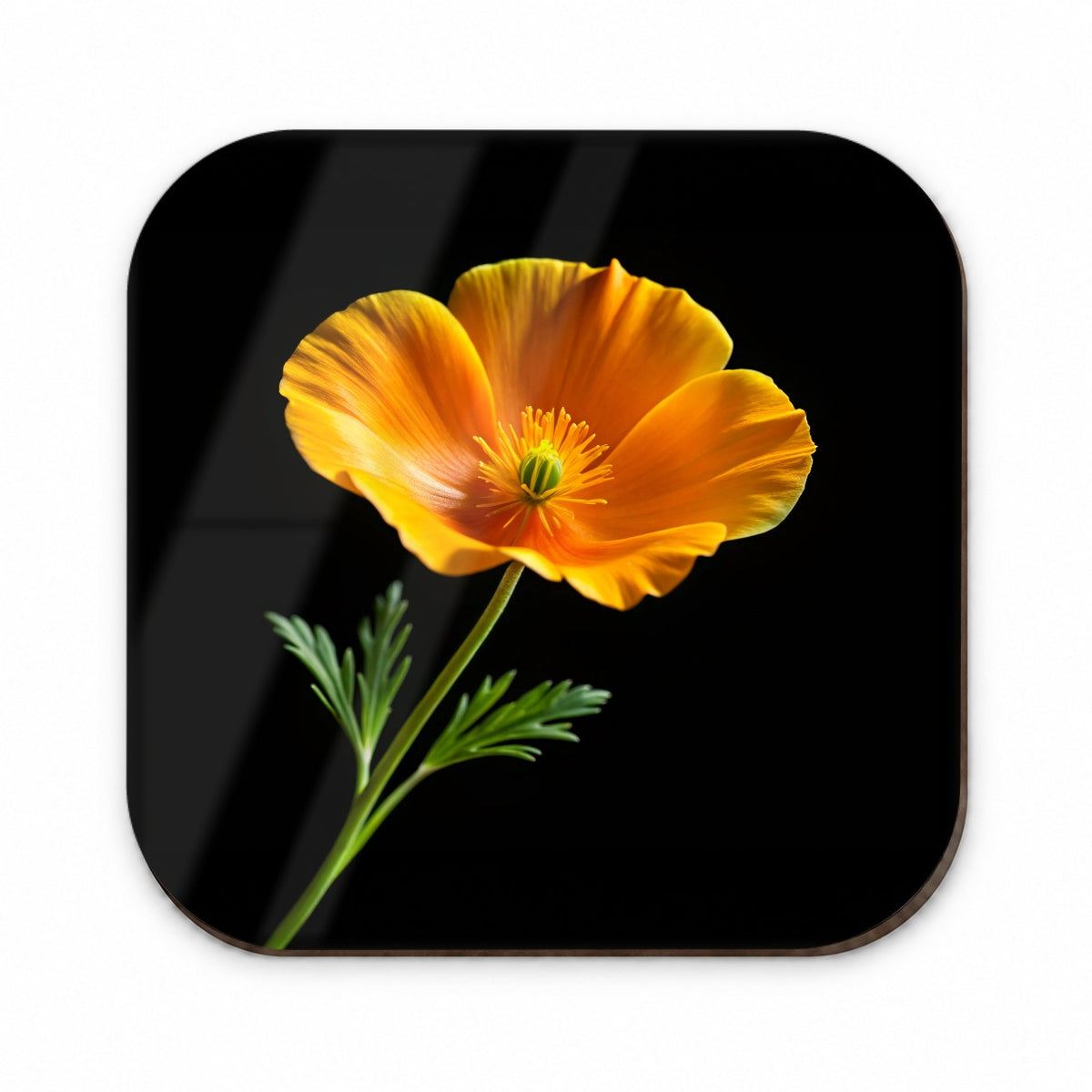 Orange California Poppy Flower Photo Fridge Magnet