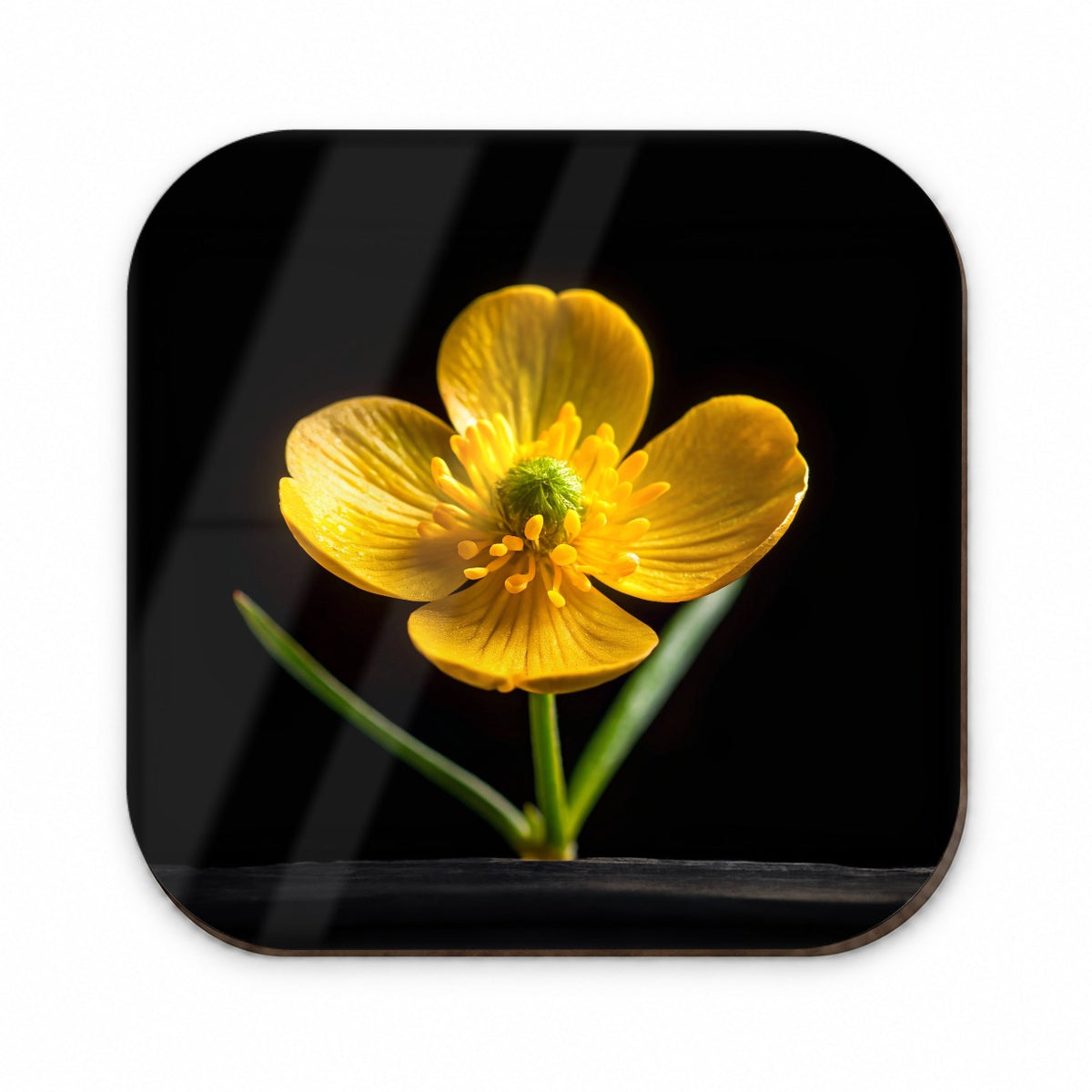 Yellow Buttercup Flower Photo Fridge Magnet