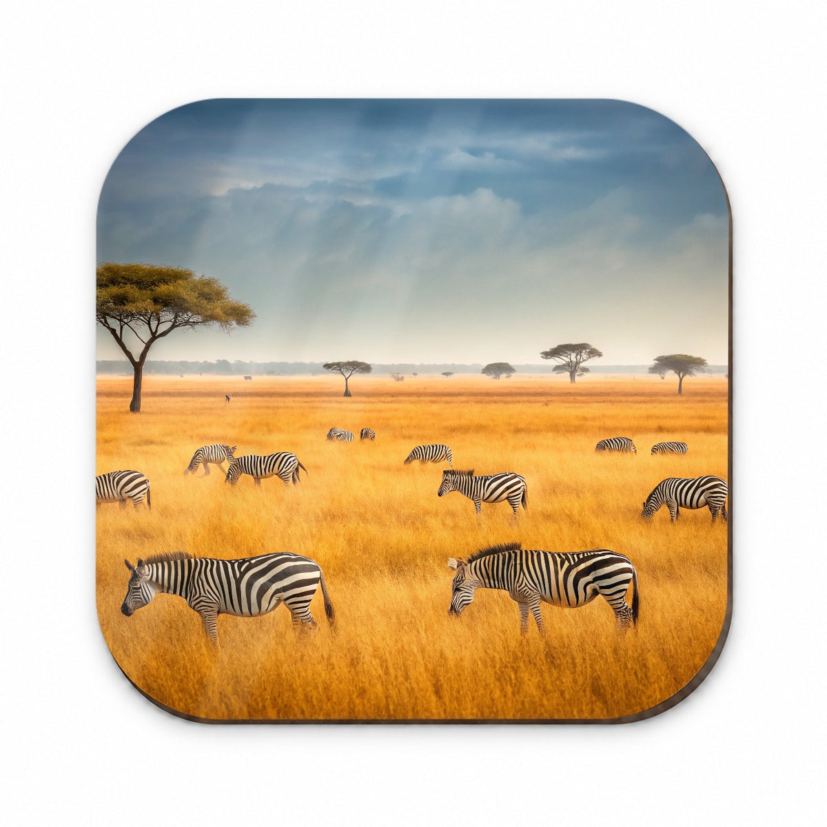 African Safari Zebras Fridge Magnet