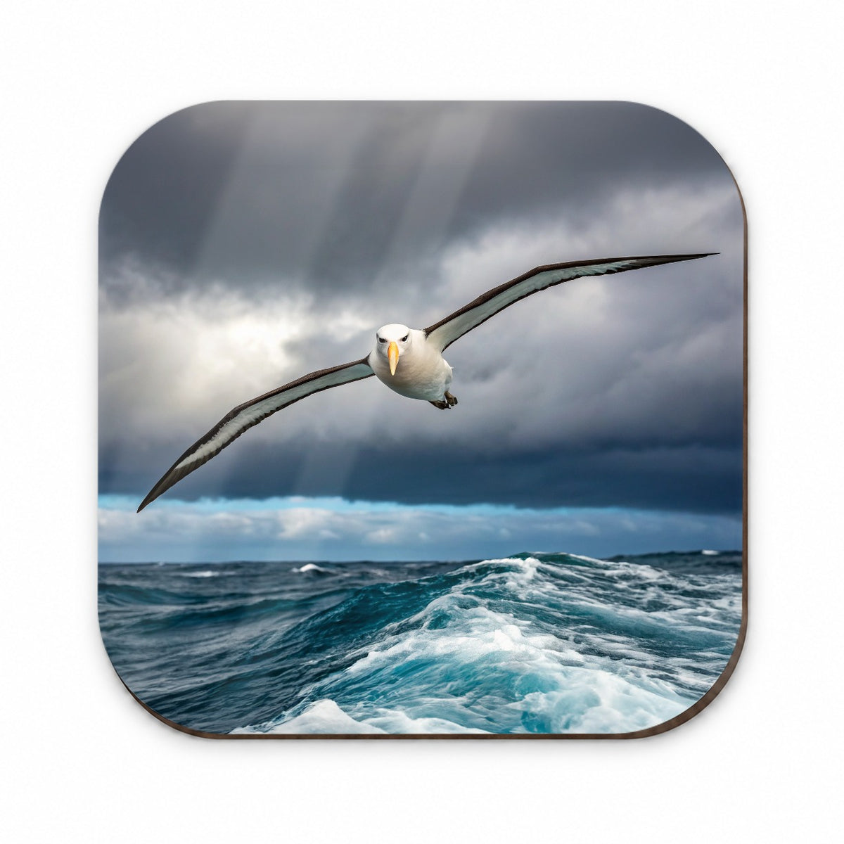 Albatross Bird Flying Over Ocean Photo Fridge Magnet