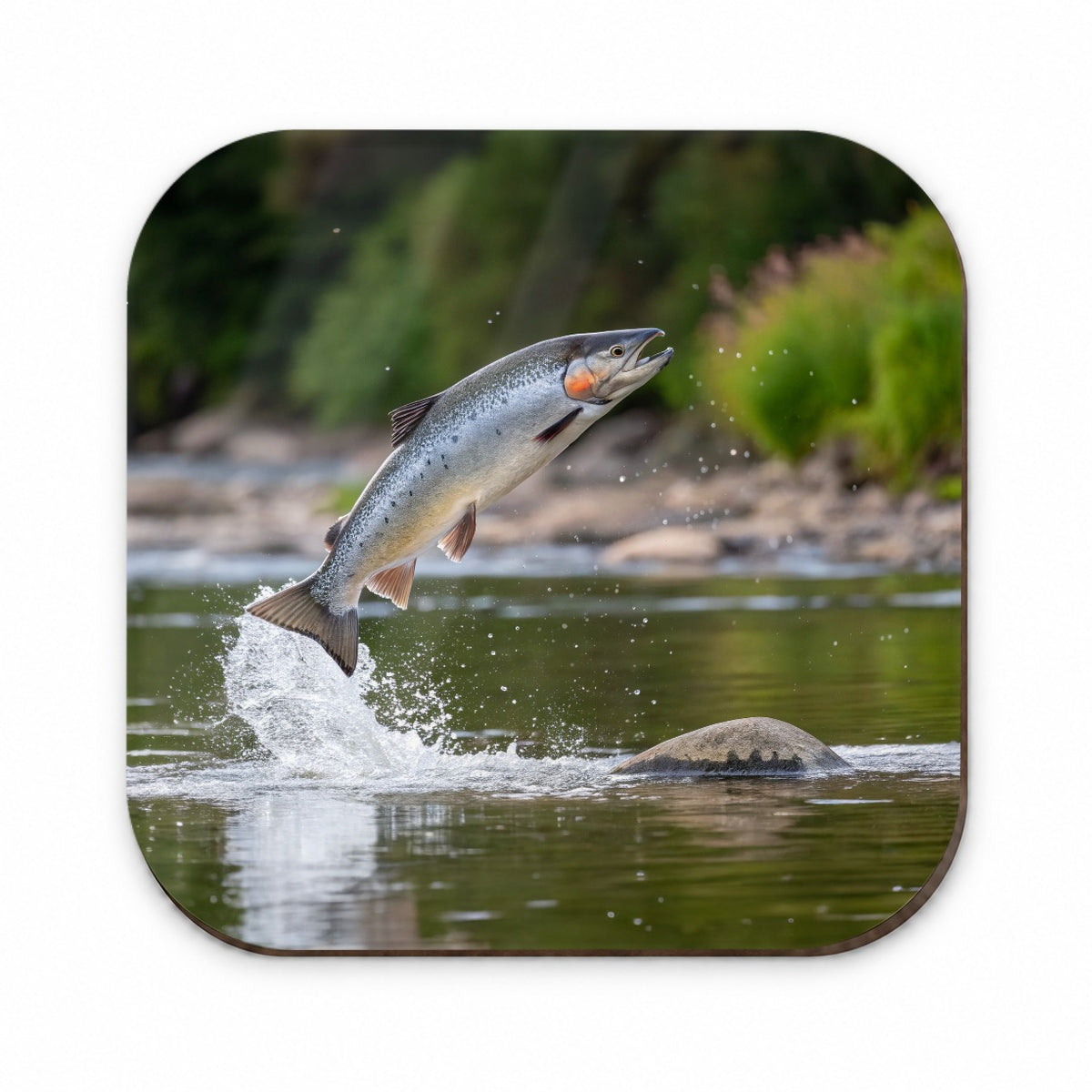 Atlantic Salmon Fish Jumping Fishing River Fridge Magnet