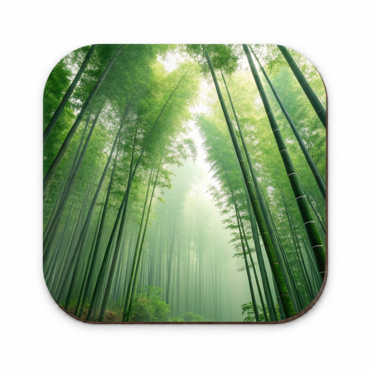 Bamboo Grove Forest Beautiful Fridge Magnet